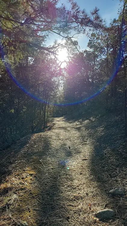 Light hitting the trail.
