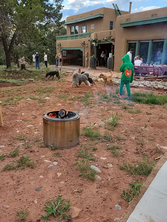 Dogs party in Santa Fe.