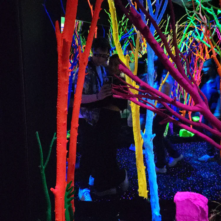 Meow Wolf — Trees.