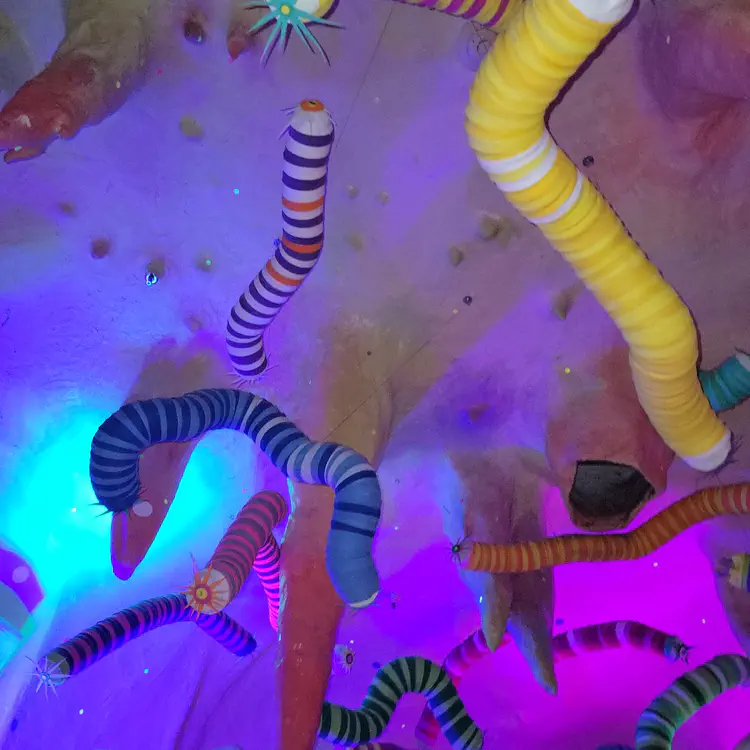 Meow Wolf — Worms.
