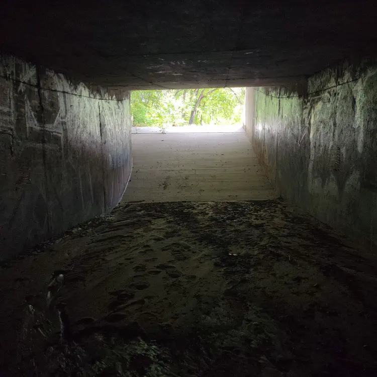 Arroyo exploration — Tunnel entrance.