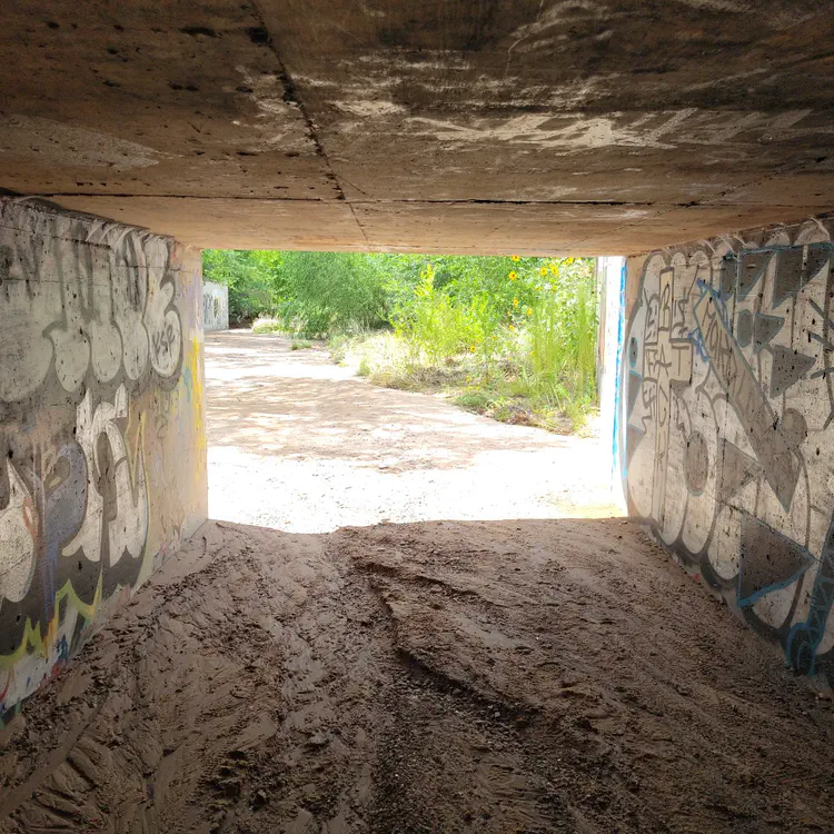Arroyo exploration — Tunnel exit.