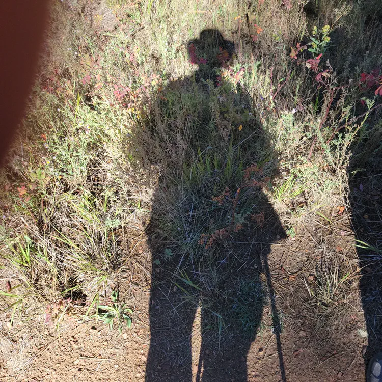 Shadow selfie.