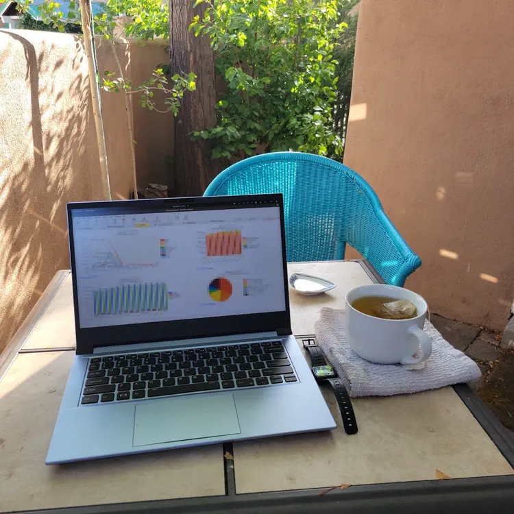 Learning accounting and bookkeeping in the backyard.