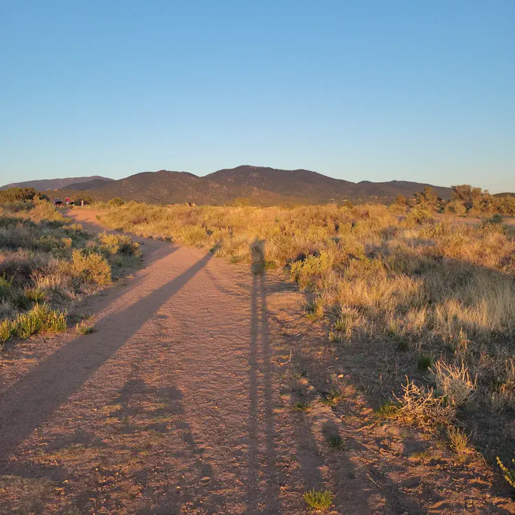 Long shadow.