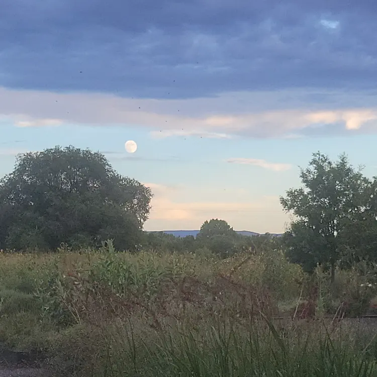 Los Poblanos – Moonrise.