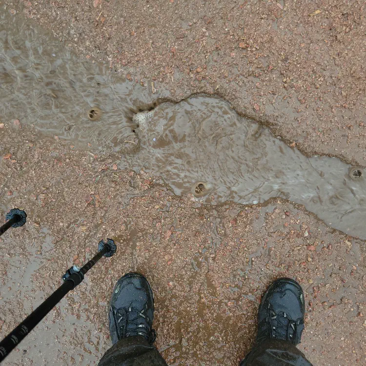 The ground is sandy will drain very fast. It doesn't get muddy.