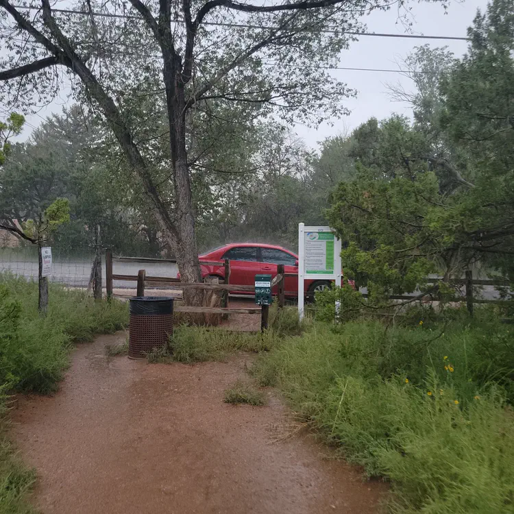 Car, almost! I'm holding so many things in my hands, with my umbrella, trekking poles, phone camera.