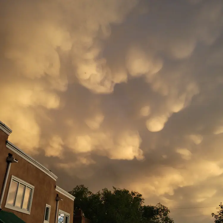 Cumulus Mammatus.