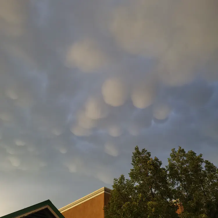 Cumulus Mammatus.