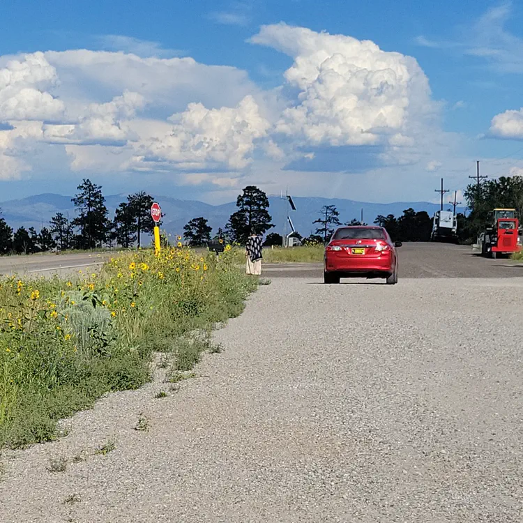 Road stop near Los Alamos to take pictures of road side sunflowers.