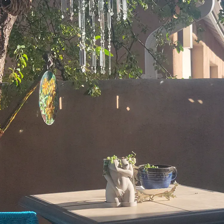 Backyard decor.