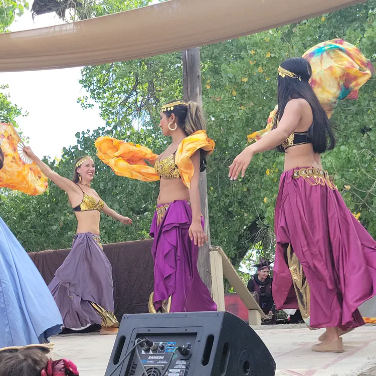 Riya and Mosaic Dance Company.