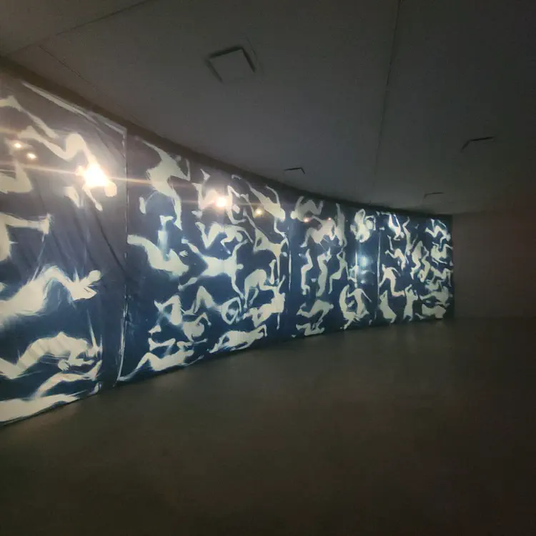 Cyanotype by Cassils at Santa Fe SITE.