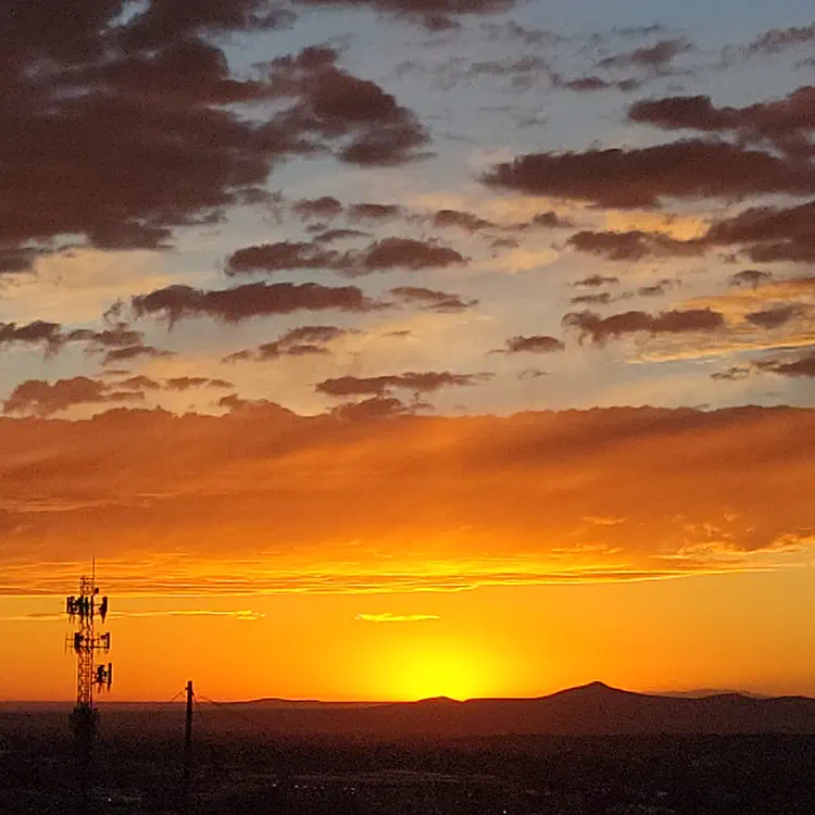 Bronze sunset.