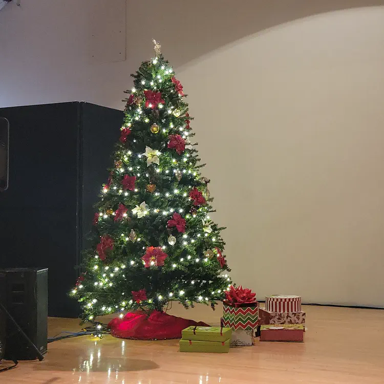 Christmas tree on the stage for a dance performance.