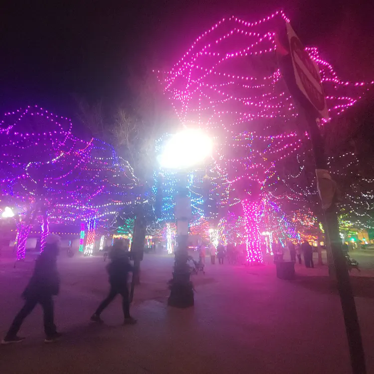 Santa Fe Plaza lights.