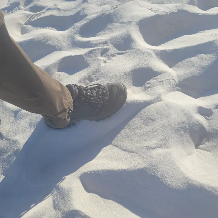 White Sands step.