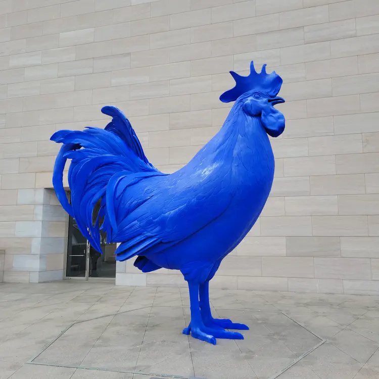 Blue cock.