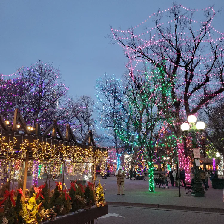 Santa Fe Plaza Christmas lights.