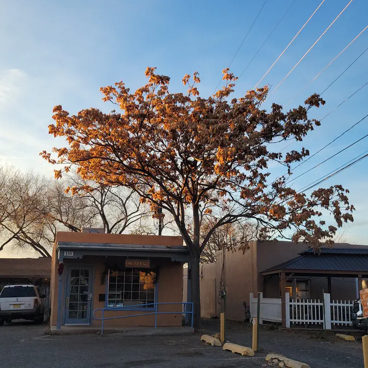 Tree and commerce.