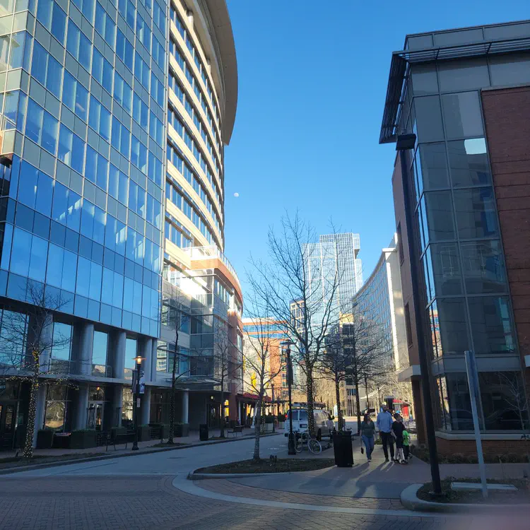 The Woodlands architecture