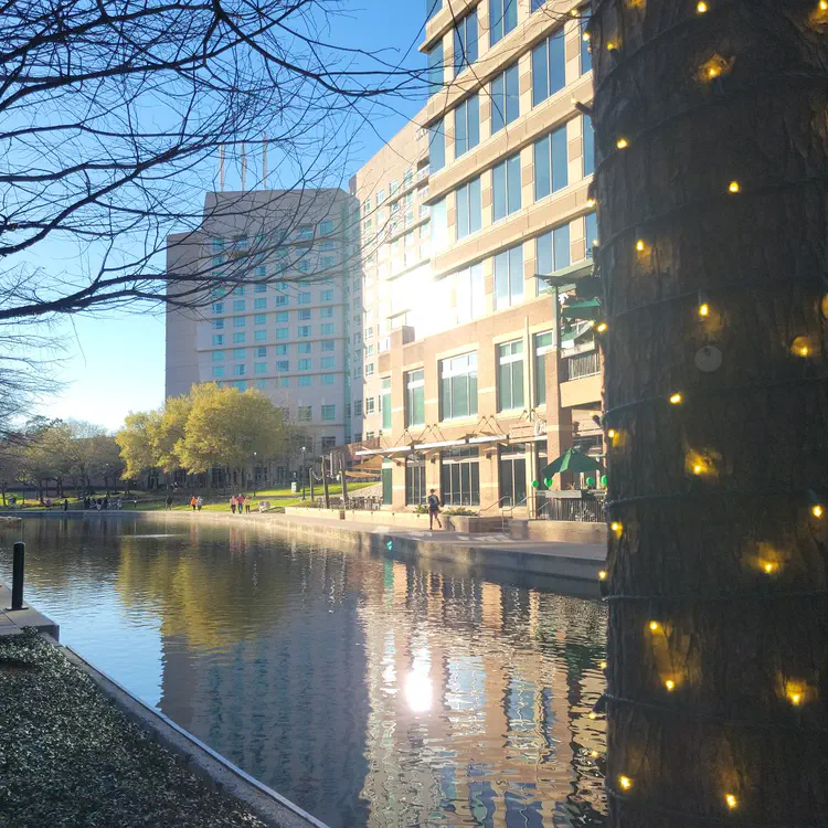 The Woodlands architecture