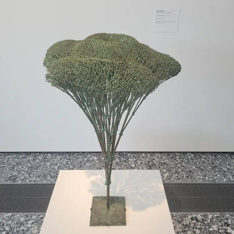 Harry Bertoia, brocoli