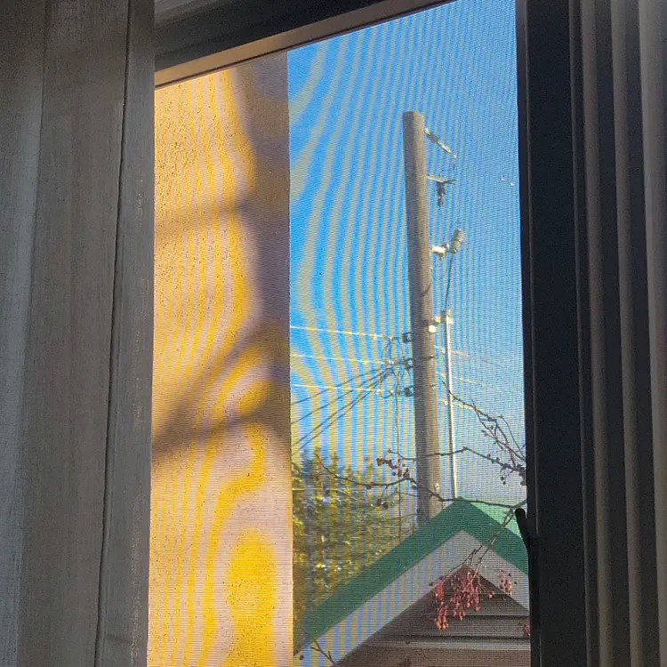 Window