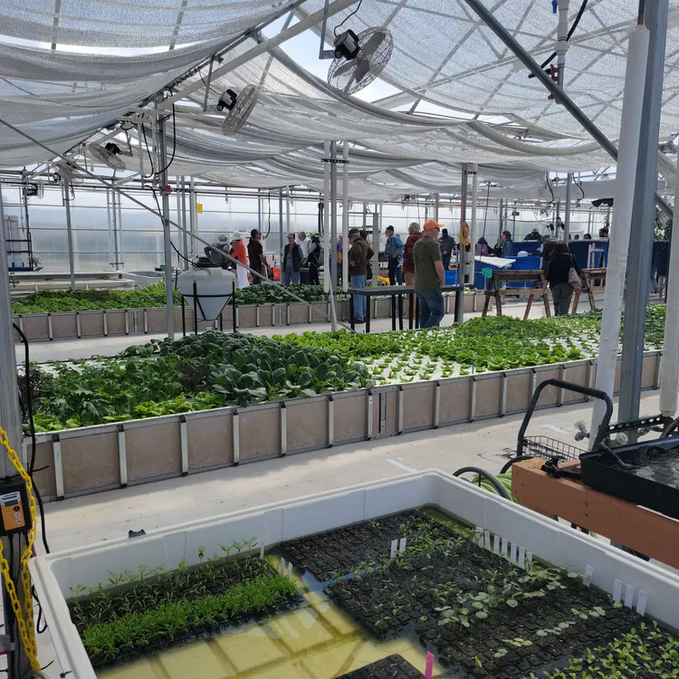 Greenhouse.