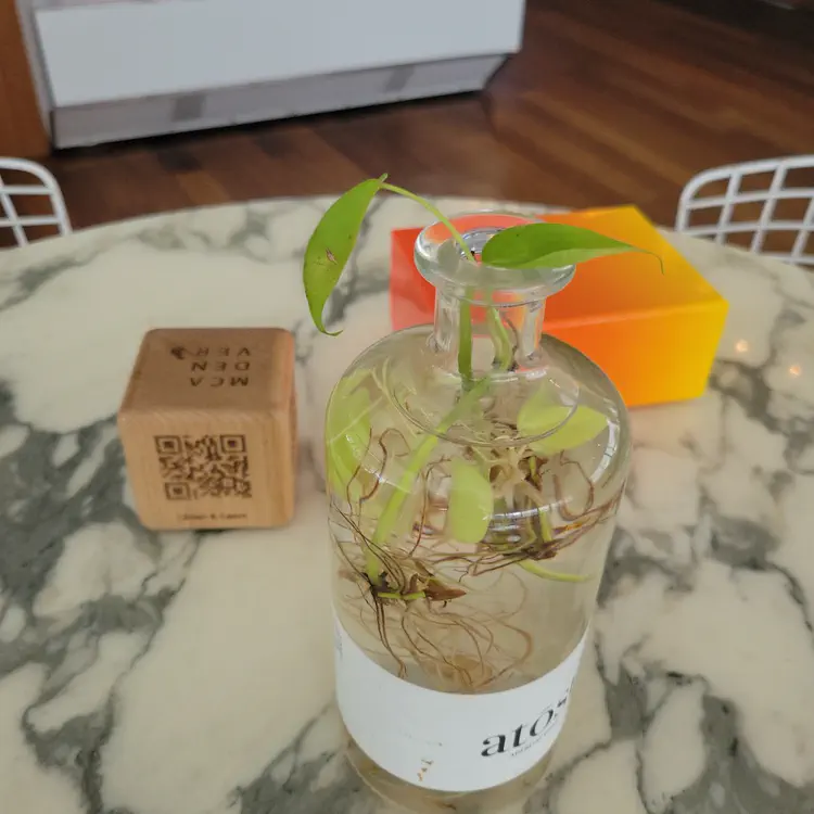 Café.