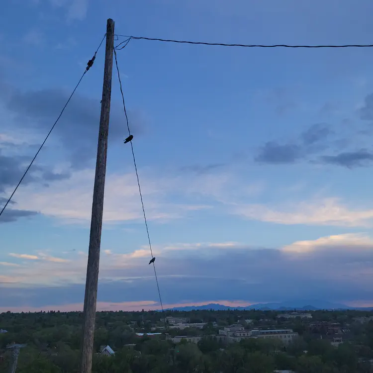 Crepuscule.