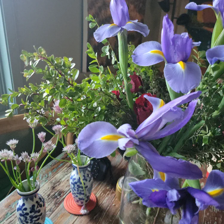 Irises.