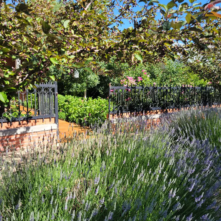 Garden.