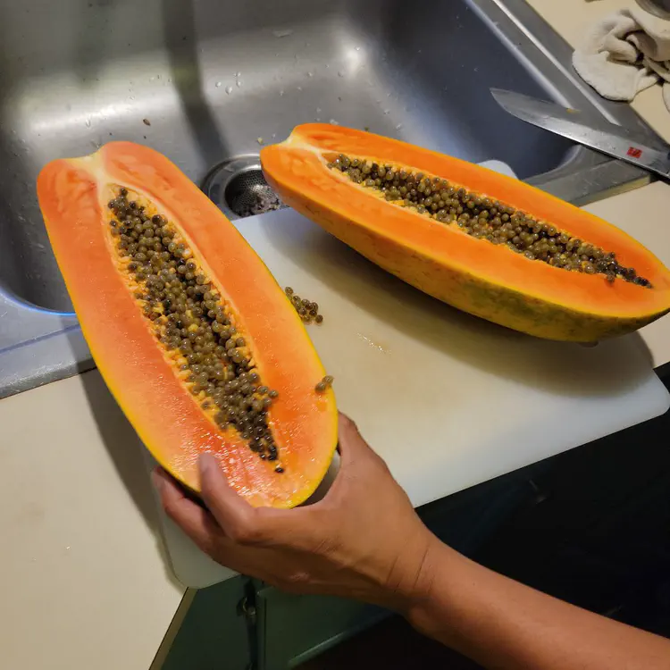 Papaya.