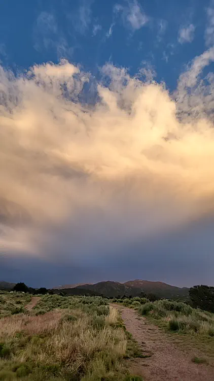 Grass and clouds.