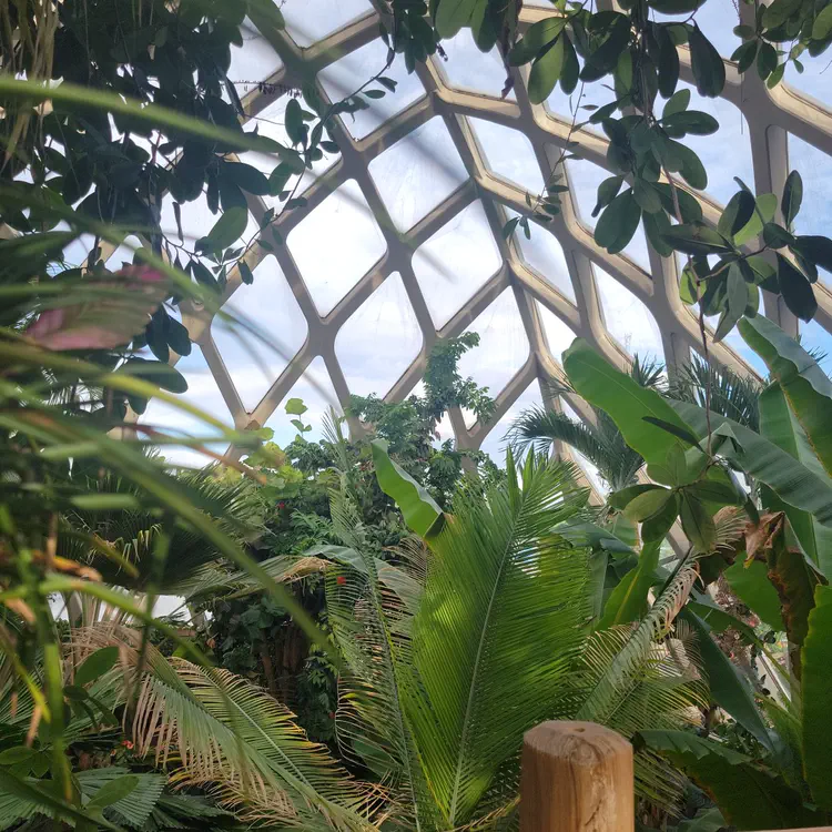 Botanical garden architecture.