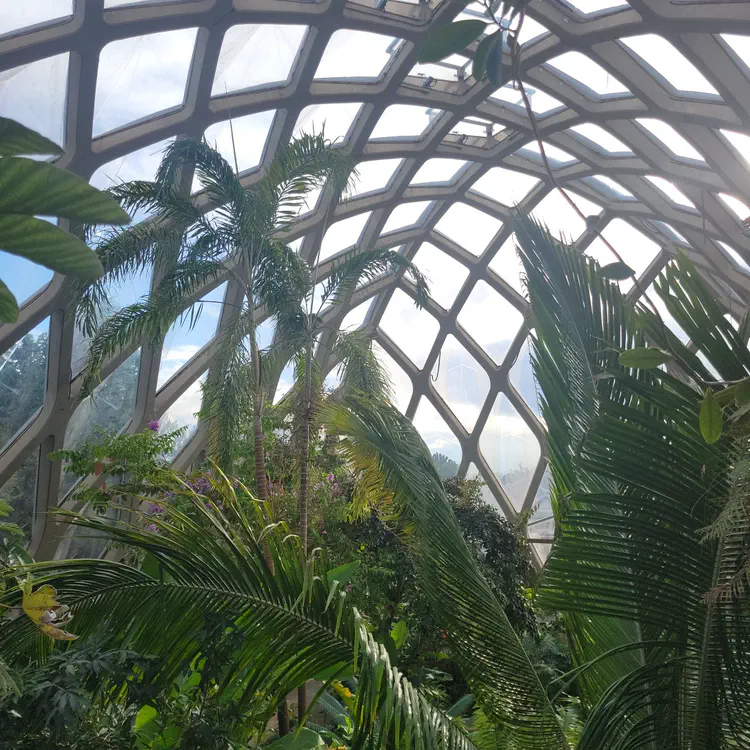 Botanical garden architecture.