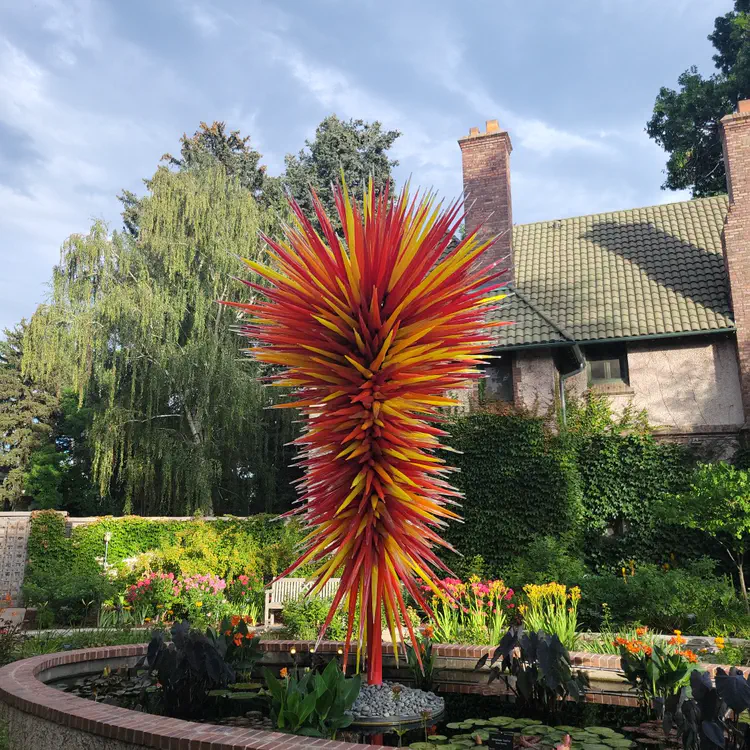 Chihuli at the botanical garden.