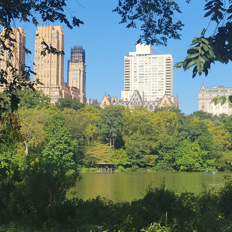 Central Park lake.
