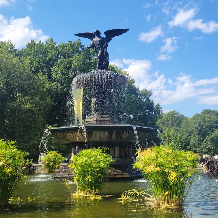 Central Park fountain.