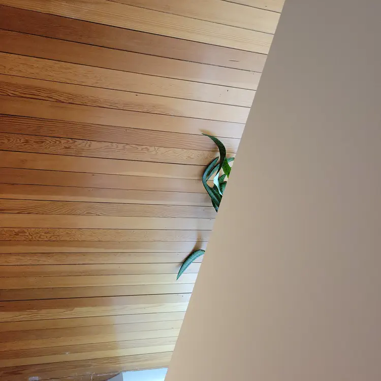 Clementine Cafe ceiling.