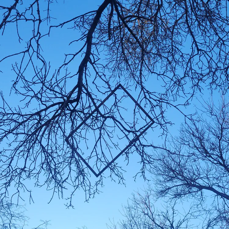 Frame in tree branches.