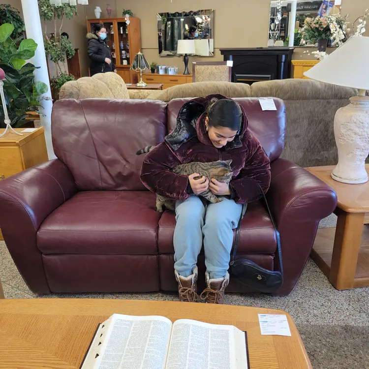 Furniture store cat.
