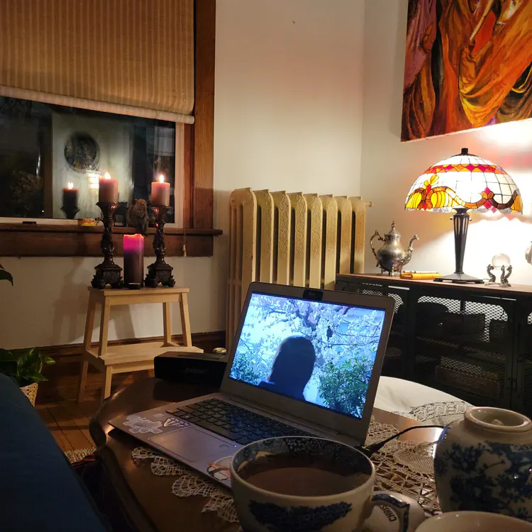 Living room, my wife's aesthetics.