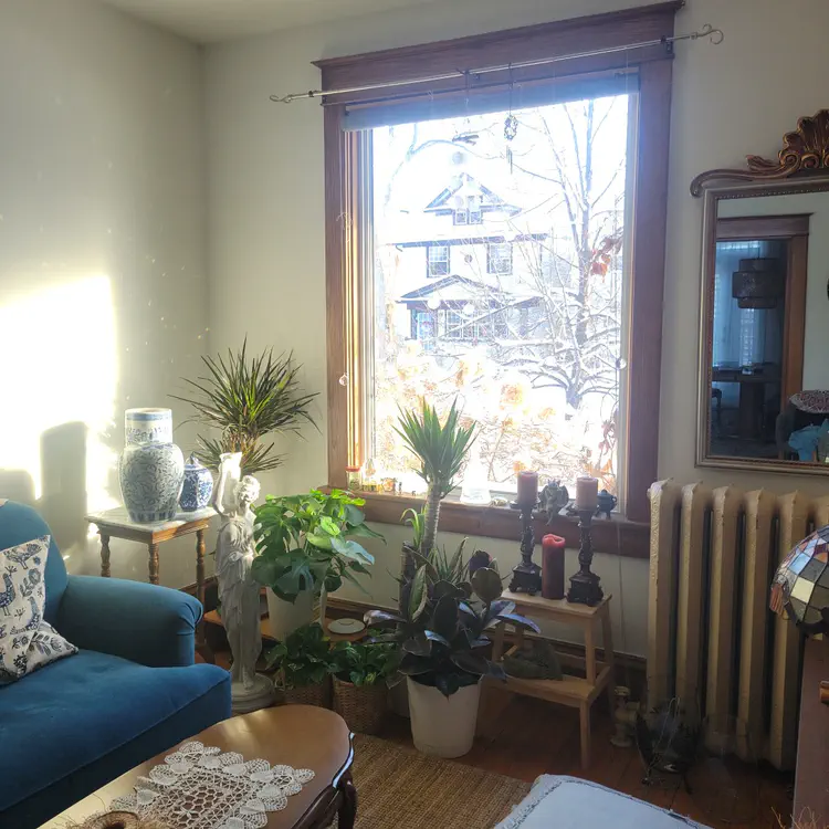 Light in through the window.