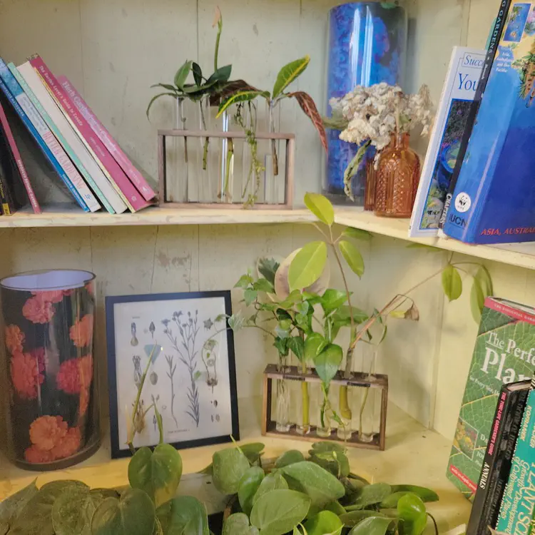 The Leaf apothecary.