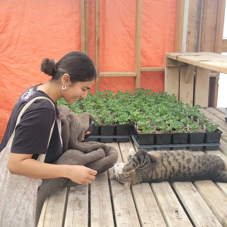 Plant nursery cat.