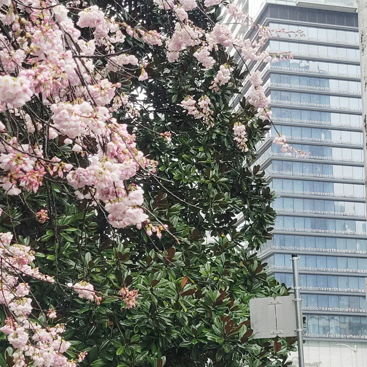 Flowers and architecture.