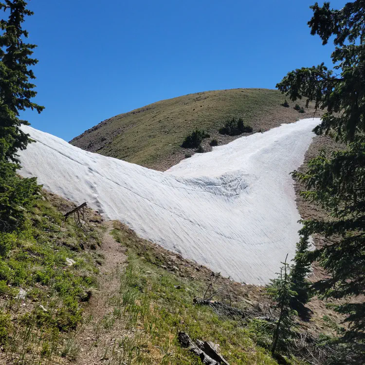 Bean shaped snow bank.